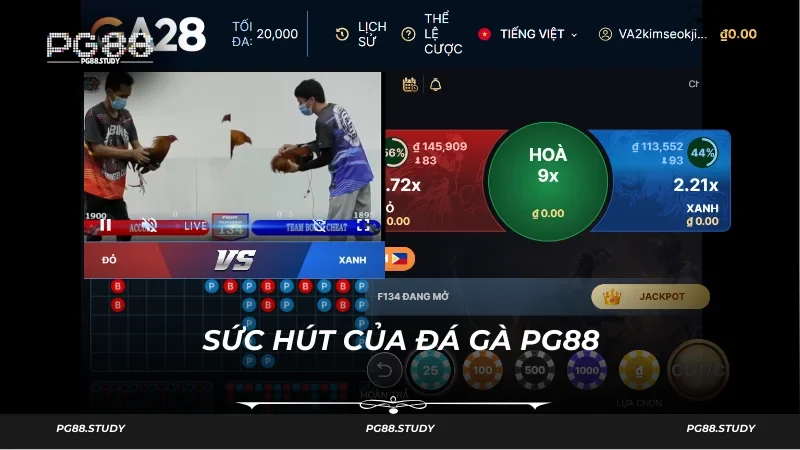 Nền tảng đá gà của PG88 được bảo vệ tốt